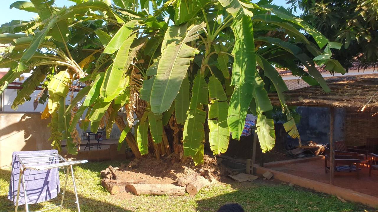 Casa Cacheu II Daire Bissau Dış mekan fotoğraf