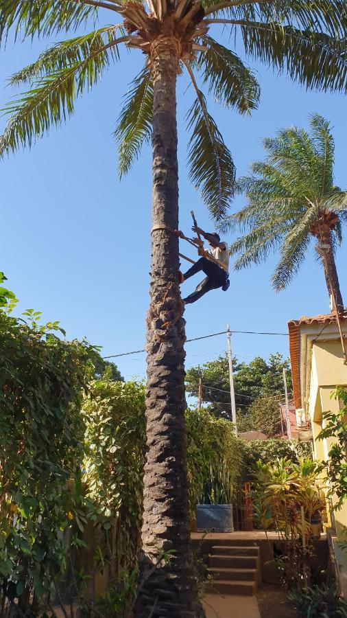 Casa Cacheu II Daire Bissau Dış mekan fotoğraf